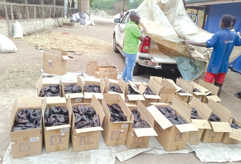 Some processed catfish ready to be transported to the market