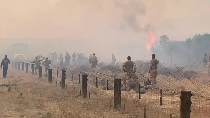 The fire that broke out in March 2021 destroyed almost a quarter of the Lolldaiga conservancy The fire that broke out in March 2021 destroyed almost a quarter of the Lolldaiga conservancy