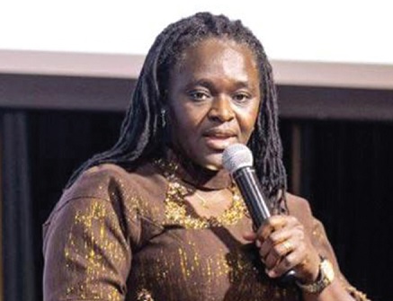 Prof. Nana Ama Browne Klutse — CEO of EPA Prof. Nana Ama Browne Klutse — CEO of EPA