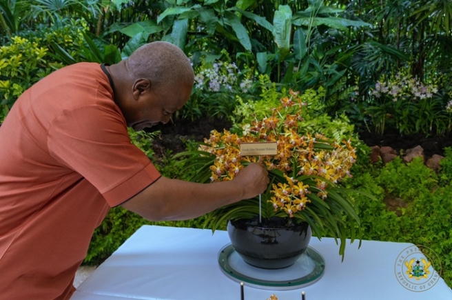 President John Dramani Mahama admiring the orchid President John Dramani Mahama admiring the orchid