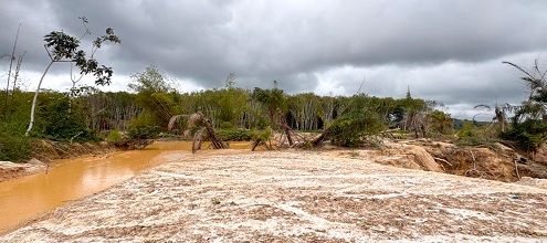 A vast area of a rubber plantation degraded as a result of illegal mining activities A vast area of a rubber plantation degraded as a result of illegal mining activities