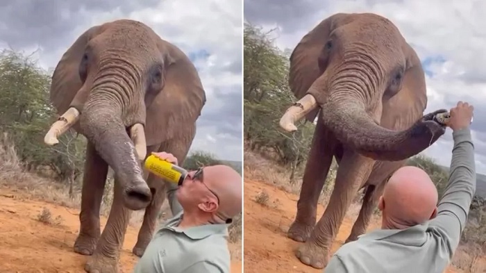 The videos posted to Instagram were removed following a backlash from Kenyans in the comments The videos posted to Instagram were removed following a backlash from Kenyans in the comments