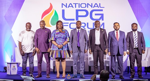  Mr Godwin Edudzi Tameklo Esq. (middle), NPA Chief Executive, Dr Sheila Addo (3rd from left), NPA Deputy Chief Executive, in a post with the panelists 