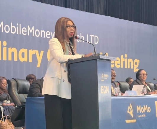 MoMo FinTech moves toward stock market debut 