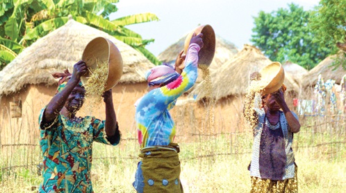 People &amp; Places: Hands that feed 