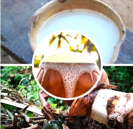Palm wine
