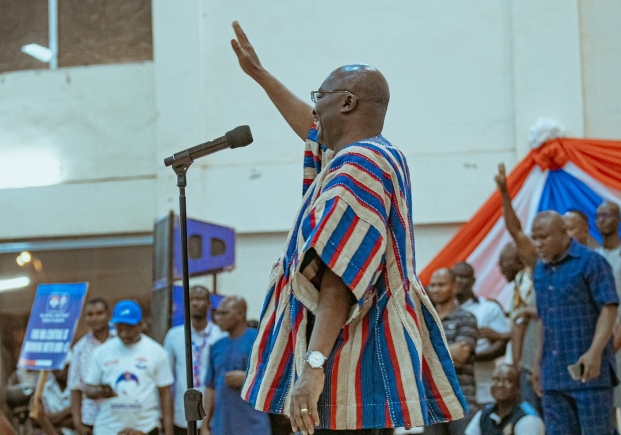 It is unfair to single out Bawumia for blame - Adwoa Safo to NPP delegates