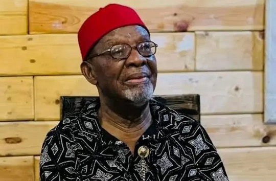 Nollywood actor Fabian Adibe Nollywood legendary actor Fabian Adibe dies at 82
