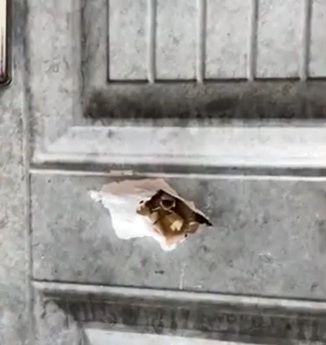 Injuries recorded in reported shooting incident at Ho Central Mosque