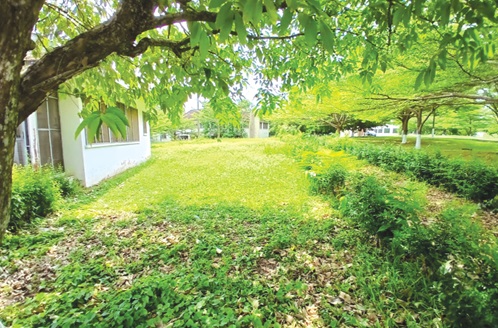 The Department of Parks and Gardens which should beautify the place lacks the necessary logistics to do so