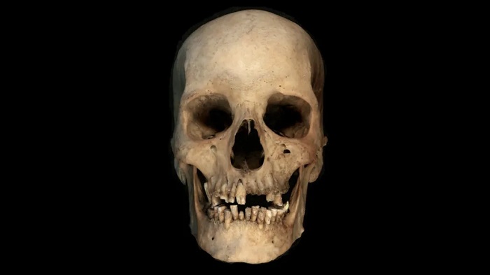 Tests on the skull could give new insights into ancient history
