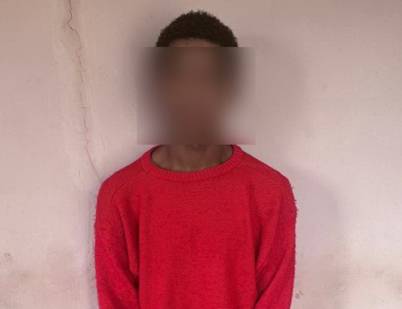 Man jailed 19 years for robbing pregnant woman in Ho