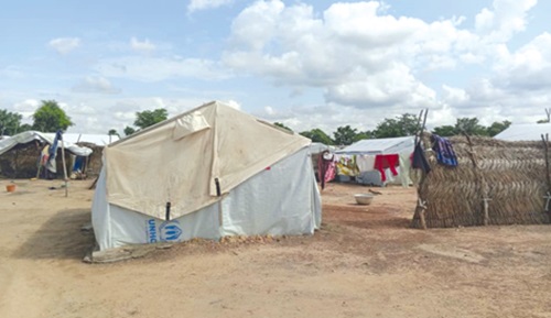 A section of the Zini Camp
