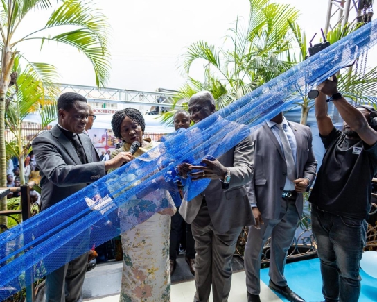 Government to partner with private sector for stronger healthcare system – Vice-President Opoku-Agyemang Government to partner with private sector for stronger healthcare system – Vice-President Opoku-Agyemang