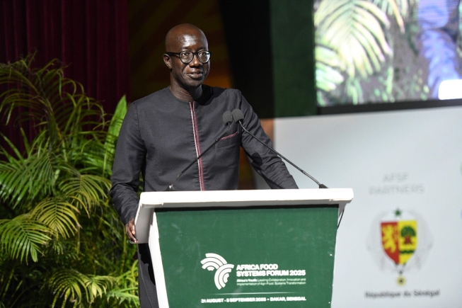 Africa Food Systems Summit to be held in Senegal this August; 6,000+ global food systems stakeholders expected Africa Food Systems Summit to be held in Senegal this August; 6,000+ global food systems stakeholders expected