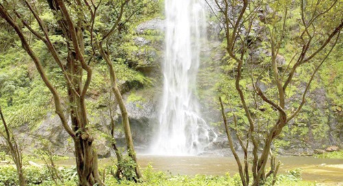 Wil Waterfalls, with its flowing waters and untamed majesty, becomes a space for ritual and remembrance Wil Waterfalls, with its flowing waters and untamed majesty, becomes a space for ritual and remembrance