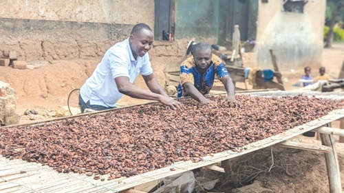 CocoaCoin puts pricing power back into Ghanaian hands. CocoaCoin puts pricing power back into Ghanaian hands.