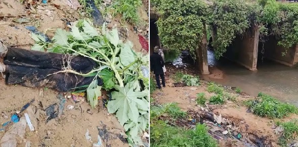 Man found dead under bridge after reportedly selling his car