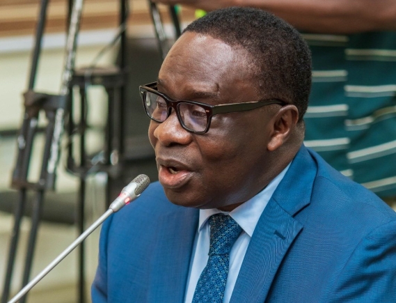 James Gyakye Quayson on how to save youth from being 'milked' by advanced countries in visa application fees