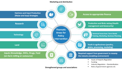 Reviving poultry sector: Stakeholder-led masterplan to restore competitiveness and build resilience 
