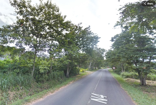 A section of the Mamfe Kwamoso road with tree along both sides A section of the Mamfe Kwamoso road with tree along both sides