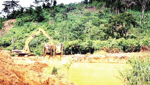 Polutted lands, forests, rivers and the environment Polutted lands, forests, rivers and the environment