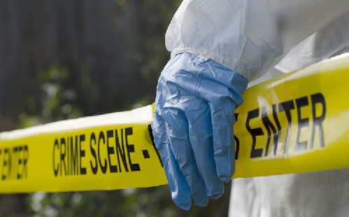 According to police, the suspect was taken into custody on Tuesday after he allegedly confessed to burying his sister, aged 44, in the yard at his home According to police, the suspect was taken into custody on Tuesday after he allegedly confessed to burying his sister, aged 44, in the yard at his home