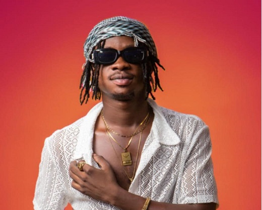 Veteran musicians could have done more for their successors  –Mickey Lux