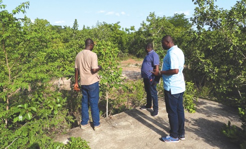 Officials of GETFund inspecting the proposed site of the Bole College of Education Officials of GETFund inspecting the proposed site of the Bole College of Education