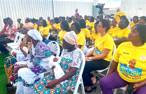 Health professionals and parents at the event