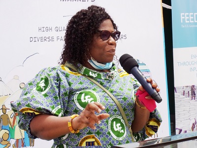 Professor Irene Sussana Egyir, Agriculture Economist Food inflation: Slow implementation of agric initiatives blamed