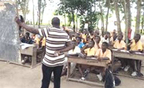 A typical school under trees A typical school under trees