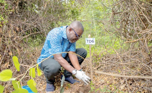 Bernard A. Gyebi, Managing Director of Prudential Bank, planting a tree to mark the day