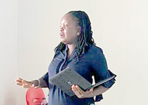 Dr Yvonne Nanaama Brew (right), Developmental Paediatrician at the Greater Accra Regional Hospital, addressing the participants Dr Yvonne Nanaama Brew (right), Developmental Paediatrician at the Greater Accra Regional Hospital, addressing the participants