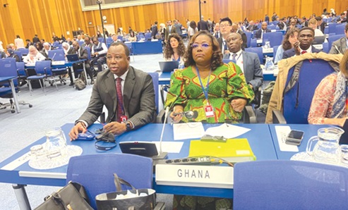 Nana Oye Bampoe Addo, a Deputy Chief of Staff, and Joseph Whittal, Commissioner of CHRAJ, at the UN anti-corruption summit in Vienna Nana Oye Bampoe Addo, a Deputy Chief of Staff, and Joseph Whittal, Commissioner of CHRAJ, at the UN anti-corruption summit in Vienna