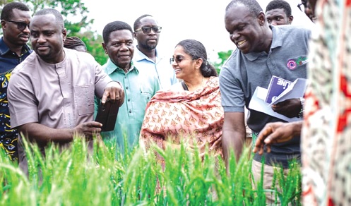 Saalai Manikam (2nd from right), Managing Director of Arima Farms, with some officials from the CSIR during the field event Saalai Manikam (2nd from right), Managing Director of Arima Farms, with some officials from the CSIR during the field event