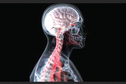 Neuroscience is a rapidly growing field worldwide and an evolving discipline in Ghana Neuroscience is a rapidly growing field worldwide and an evolving discipline in Ghana