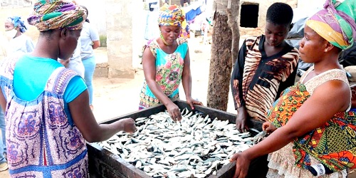 Empowering women in the fishing sector is a smart  investment in economic growth and development