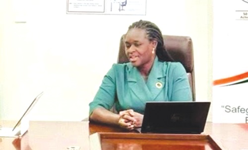 Prof. Nana Ama Browne Klutse — Acting Executive Director of the Environmental Protection Agency Prof. Nana Ama Browne Klutse — Acting Executive Director of the Environmental Protection Agency