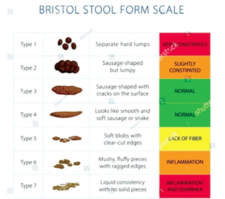 Your stool, your health