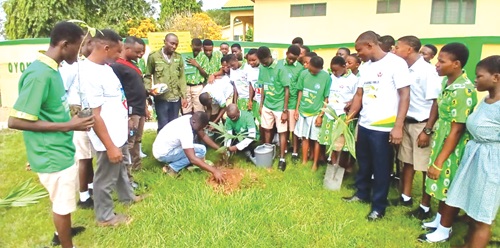 Seth Darko Odame (arrowed) and Adonise Dampson (squatting), Koforidua Business Centre Manager of the company, to plant a tree seedling. Looking on are some students of the school Seth Darko Odame (arrowed) and Adonise Dampson (squatting), Koforidua Business Centre Manager of the company, to plant a tree seedling. Looking on are some students of the school