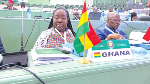 Elizabeth Ofosu-Adjare (left)