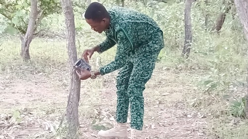 Benjamin Kwesi Agbernor, Assistant Law Enforcement Officer at the Mole National Park, installing one of the cameras on a tree for surveillance 