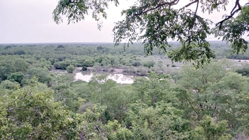 A view of the Mole National Park 