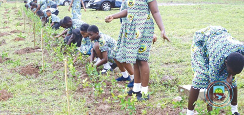 Schoolchildren planting trees to beautify the environment Schoolchildren planting trees to beautify the environment