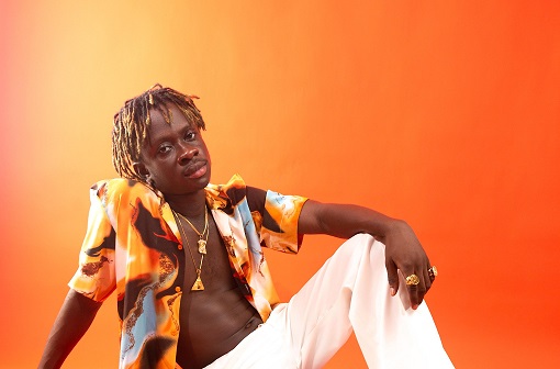 Mickey Lux Stonebwoy is biggest inspiration for young acts – Mickey Lux