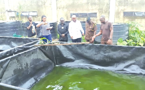 The Koforidua Prisons fishing farming site being inspected by Dr Gordon Nana Asubonteng (arrowed), the Deputy National Coordinator of the Feed Ghana initiative The Koforidua Prisons fishing farming site being inspected by Dr Gordon Nana Asubonteng (arrowed), the Deputy National Coordinator of the Feed Ghana initiative