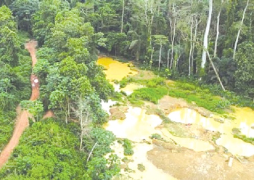 Ghana's illegal gold mining industry causes environmental destruction