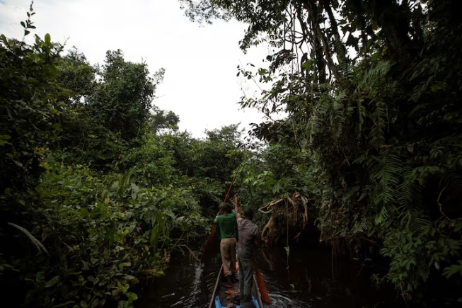 People paddle along a small river on the way to the forest near Mbandaka, Democratic Republic of the Congo, April 02, 2019. REUTERS/Thomas Nicolon/File Photo