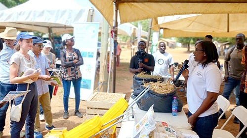 Viviana Perego (right), Senior Economist at the World Bank, and other officials of AICCRA being conducted around climate-smart agriculture inputs exhibited at the durbar
